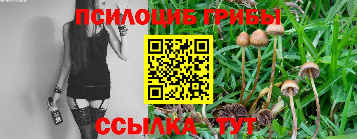 Лесной  Псилоцибиновые грибы Magic Shrooms  Вход с VPN 